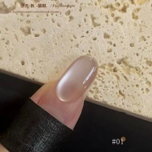 2025 New UV Cat's Eye <b>Nail</b> Polish <b>Set</b> 10 Colors Factory Wholesale Customization <b>Nail</b> Polish <b>Gel</b> Suppliers - Product Image 5