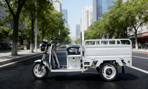 <span class=keywords><strong>Vélo</strong></span> électrique 3 roues tricycles adulte tricycle électrique camping-car tricycle passager avec <span class=keywords><strong>cargo</strong></span> - Product Image 2