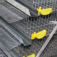 Cage à cailles en plastique à 6 étages à vendre (usine de Guangzhou)