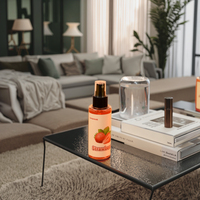 Vente en gros de vaporisateurs de parfum sans alcool de 100 ml, best-sellers pour la voiture et la maison, désodorisant liquide en plastique