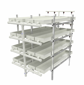 Bandejas de Plástico <span class=keywords><strong>para</strong></span> Cultivo Hidropónico de Forraje Verde de <span class=keywords><strong>Cebada</strong></span> <span class=keywords><strong>para</strong></span> <span class=keywords><strong>Ganado</strong></span> - Product Image 6