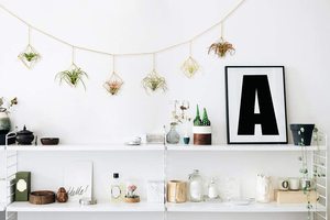 Hiện Đại Himmeli Hình Học Planter Tillandsia Không Khí Dương Xỉ Mini Kim Loại Air Cây Chủ - Product Image 3