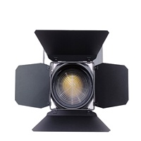 Projecteur professionnel Fresnel COB avec zoom, CRI>95, variateur d'intensité, DMX512, télécommande sans fil et application mobile