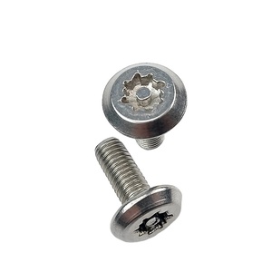Stainless Steel Irregular Chrysanthemum Head <strong>Security</strong> <strong>Screws</strong>/anti-theft <strong>Screw</strong> - Product Image 5