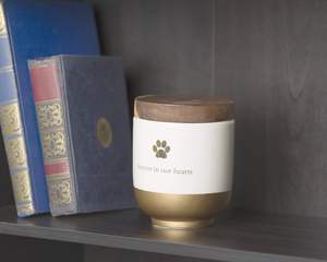 Pearhead Ceramic Forever in Our Hearts Pet Memorial, urna de recuerdo para perros o gatos, Rainbow Bridge, Gold - Product Image 3