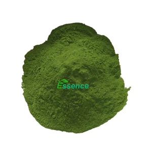 مسحوق النانوكلوروبس من الطحالب البحرية الغذائية عالية الجودة من إنتاج مصنع إيسنس - Product Image 1