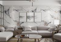 Panneau mural en PVC de style moderne Panneau décoratif résistant au feu et à l'eau Feuille de marbre UV Prix d'usine pour usage domestique Fabriqué