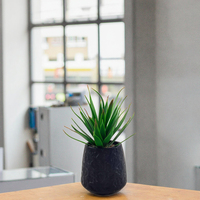Vente en gros de petites plantes succulentes artificielles en pot en céramique, déco murale suspendue pour la fête des mères à la maison, au bureau ou dans la salle de bain