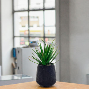 Vente en gros de petites plantes succulentes artificielles en pot en céramique, déco murale suspendue pour la fête des mères à la maison, au bureau ou dans la salle de bain - Product Image 6