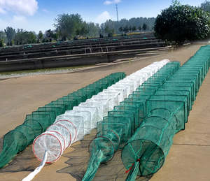 <span class=keywords><strong>Filet</strong></span> <span class=keywords><strong>de</strong></span> poisson pliable et cage en HDPE prix d'usine piège <span class=keywords><strong>de</strong></span> pêche agricole <span class=keywords><strong>pour</strong></span> les poissons <span class=keywords><strong>de</strong></span> lac et <span class=keywords><strong>de</strong></span> rivière <span class=keywords><strong>pour</strong></span> les écrevisses - Product Image 1