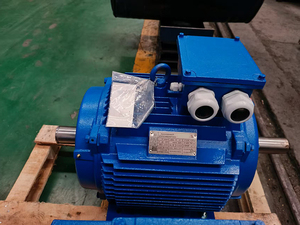 มอเตอร์อะซิงโครนัสแบบเฟสเดียวและสามเฟสมาตรฐานรัสเซีย CMN 208-220-240V TENV กันน้ำ รับประกัน 3 ปี 220V - Product Image 6