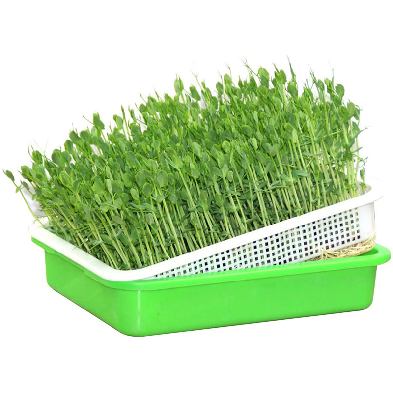 Multilayer Seedling Tray Stand Microgreen Hydroponic Trays Biodegradable
