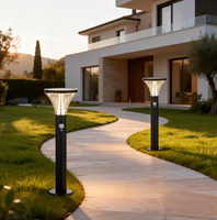 Lampe solaire LED de projection pour jardin extérieur, pelouse, villa, cour, allée, parc, décoration paysagère
