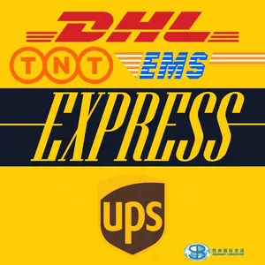 UPS/DHL/TNT pintu pengiriman udara cepat ke pintu agen pengiriman Trom Cina ke Amerika/Timur Tengah/Asia/Eropa