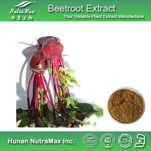 赤ビート根エキス粉末 ベタレイン粉末 ベタニン4%含有、4:1～20:1、ジュース粉末 - Product Image 6