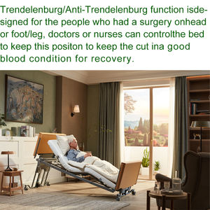 Cama Médica de Madera Tecforcare OEM y ODM, Cama de Hospital Eléctrica para Cuidado en el Hogar, Ancianos y Residencias - Product Image 5