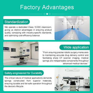 Maßgefertigte Medizinische Flachdrahtfedern Medizinische Qualität Hochpräzise Flachdrahtfeder - Product Image 5