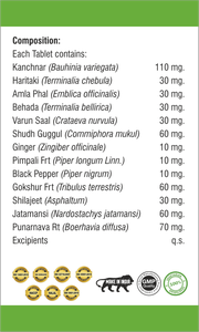 Tabletas de Mezcla Herbal GraShuddhi con Kanchnar, Haritaki, Amla y Behada, Fórmula Ayurvédica Propia, Hechas con Ingredientes Cuidadosamente Seleccionados - Product Image 4