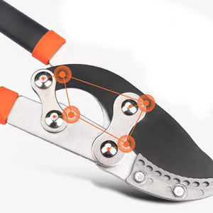 Podadora de acero profesional, herramientas manuales de jardinería, tijeras de <span class=keywords><strong>podar</strong></span> pequeñas, tijeras de jardín <span class=keywords><strong>para</strong></span> flores, árbol de jardín - Product Image 5