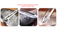 Offre Spéciale : Outils de Pêche Écologiques en Acier Inoxydable – Écailleur, Brosse, Râpe et Éplucheur pour Poisson