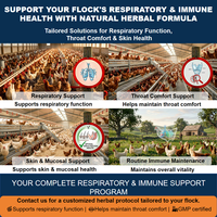 Extrait de feuilles de racine d'isatis IsatiPure pour poulets |   Extrait d'herbes de qualité alimentaire |   Soutien immunitaire respiratoire naturel |