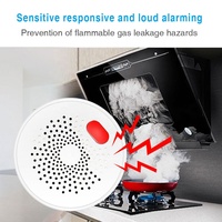 Chine Fabricant UE/UK/US Sans Fil WiFi Tuya Smart Capteur De Gaz PST-RQ400A
