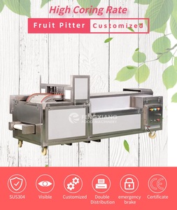 Machine à pichet, 5 m, professionnelle, pour faire des boulettes de cerise, pêche et abricot, nouveau style - Product Image 3