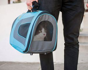 Airline Approved Cat <b>Carrier</b> - Water Resistant, Collapsible, Soft-Sided Kennel for Cats, Small Dogs, <b>Puppies</b> and Small Animal - Product Image 5