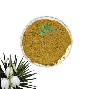 Additif alimentaire Yucca Saponin /Yucca schidigera 80% Extrait de Yucca
