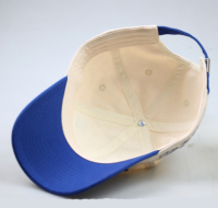 Casquettes personnalisées en gros avec logo OEM, casquettes vierges à faible MOQ, casquettes de baseball en coton bon marché pour hommes et femmes