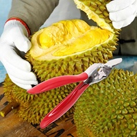 Ouvre-durian, outil pour casser la coque, lames en acier inoxydable, pince manuelle pour ouvrir les fruits, ustensiles de cuisine pour la maison