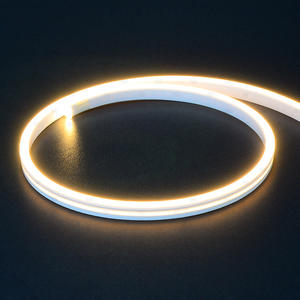 Striscia Luminosa al <span class=keywords><strong>Neon</strong></span> di Piccole Dimensioni 3*6mm 24V Impermeabile <span class=keywords><strong>LED</strong></span> Flessibile per Insegne - Product Image 2