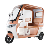 Tricycle électrique à faible consommation, silencieux, pour l'exploitation agricole et le transport d'enfants