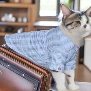 Chemise pour animaux de compagnie de style japonais, bleue, respirante, printemps, pour chats et chiens - Product Image 4
