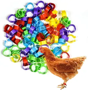 Anelli per cosce di pollo 5 colori fasce per gambe numerate anelli a Clip 8mm, 16mm, 18mm, 20mm, 25mm