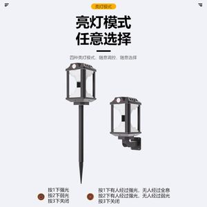Lampes solaires de jardin Xinyao Electric Appliances, éclairage extérieur pour pelouse et aménagement paysager, résistantes à la pluie, éclairage d'ambiance - Product Image 4