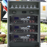 Système de stockage d'énergie monté sur rack XW 48V LiFePO4, batterie lithium 5000Wh-15000Wh, IP54, hybride, CAN, tout-en-un, 6000