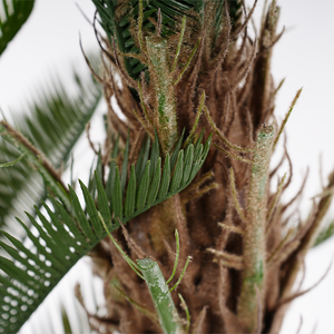 ต้นไซคาส รีโวลูต้า ประดิษฐ์จากพลาสติก ต้นไม้และพุ่มไม้บอนไซ ตกแต่งภายในและภายนอก ทนทานต่อการสัมผัสของน้ำ - Product Image 2