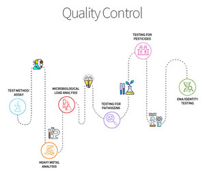 Hot Sale Kräuter ergänzung Zutat White Mulberry Fruit Extract Powder - Product Image 6
