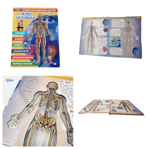 Chất Lượng Cao Tùy Chỉnh <span class=keywords><strong>In</strong></span> Ấn Con Người Lắp Ráp Giáo Dục Thông Minh Con Người Giải Phẫu Khoa Học Học Hội Đồng Quản Trị Cuốn Sách Cho Bé - Product Image 2