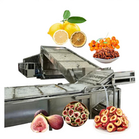 Séchoir à bande continue multi-couches pour abricots, dattes noires, baies de goji, jujubes, légumes et fruits