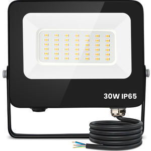 Aigostar 30W LED faretto esterno 2450 lumen IP65 impermeabile 4000K proiettore bianco naturale per giardino Patio Garage o parco - Product Image 1
