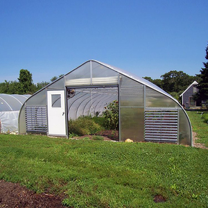 Serre en film plastique pour l'agriculture/la ferme/multi-spans/simple-span/tunnel pour les légumes/fleurs/tomates/jardins - Product Image 3
