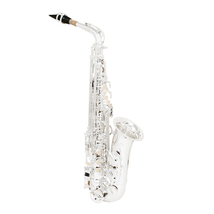Saxophone alto professionnel SLADE Brand Factory, argenté, plaqué argent, instrument à vent en laiton, clés en argent Eb - Product Image 2