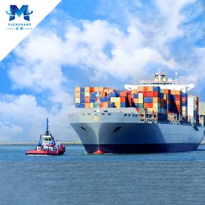 Guangzhou Nieuwe En Gebruikte 20ft/40ft Zeecontaineragent In China Naar Chad