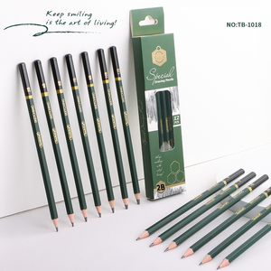 Keep Smiling Ensemble de 12 crayons à dessin professionnels, manche en bois vert foncé avec mine noire, kit de croquis - Product Image 1