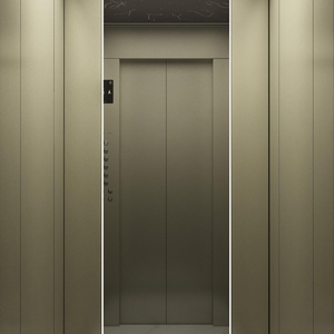 ลิฟต์บ้านพักอาศัยดีไซน์ทันสมัยของมิตซูบิชิสำหรับขายส่ง - Product Image 4