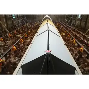 プレハブ鉄骨構造乳製品家禽牛/鶏/アヒル干し草小屋農場