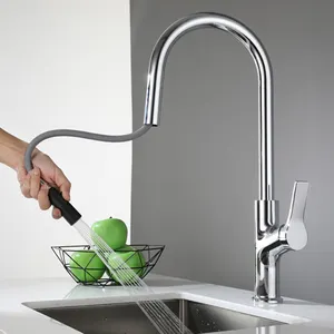 Aquacubic CE Approved High Quality Brass Pull Out Double Function Kitchen Faucet