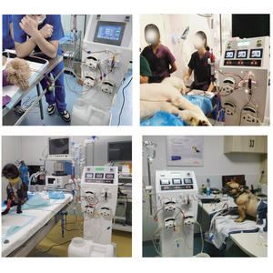 Lhvs6 मेडिकल पालतू जिगर एस्कॉट्स रिकवरी डिवाइस कुत्ते बिल्ली रक्त डायलिसिस - Product Image 5